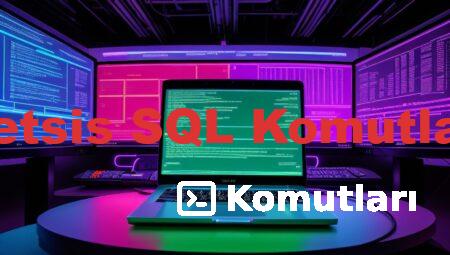 Netsis SQL Komutları