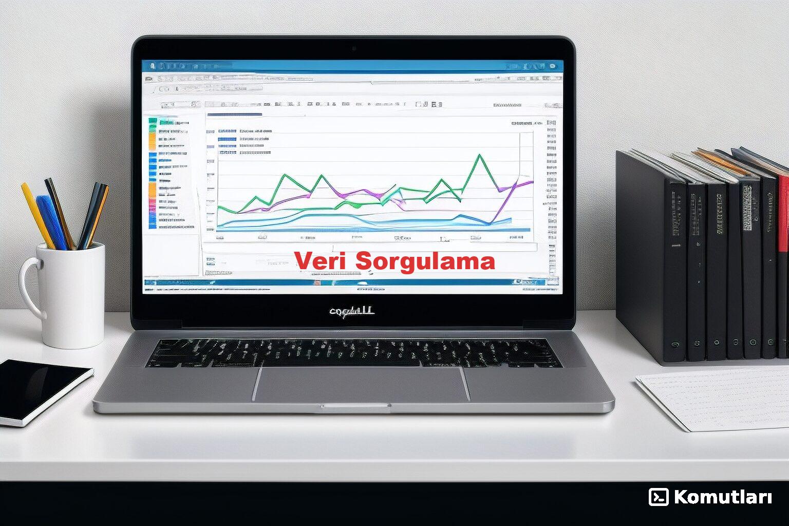 Veri Sorgulama