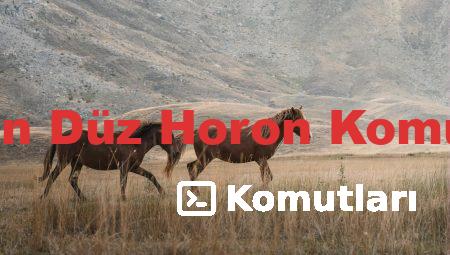 Artvin Düz Horon Komutları