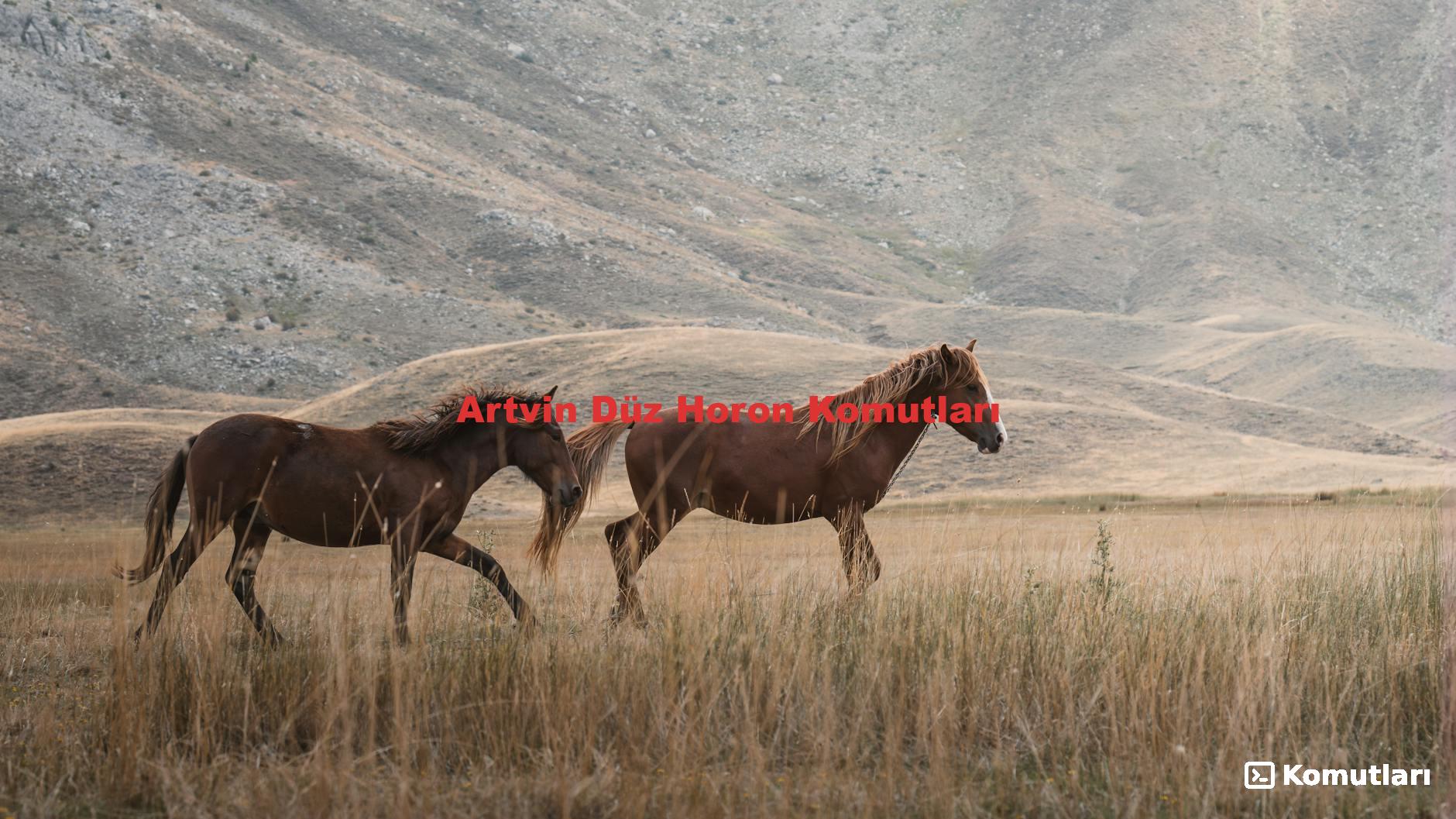 Artvin Düz Horon Komutları