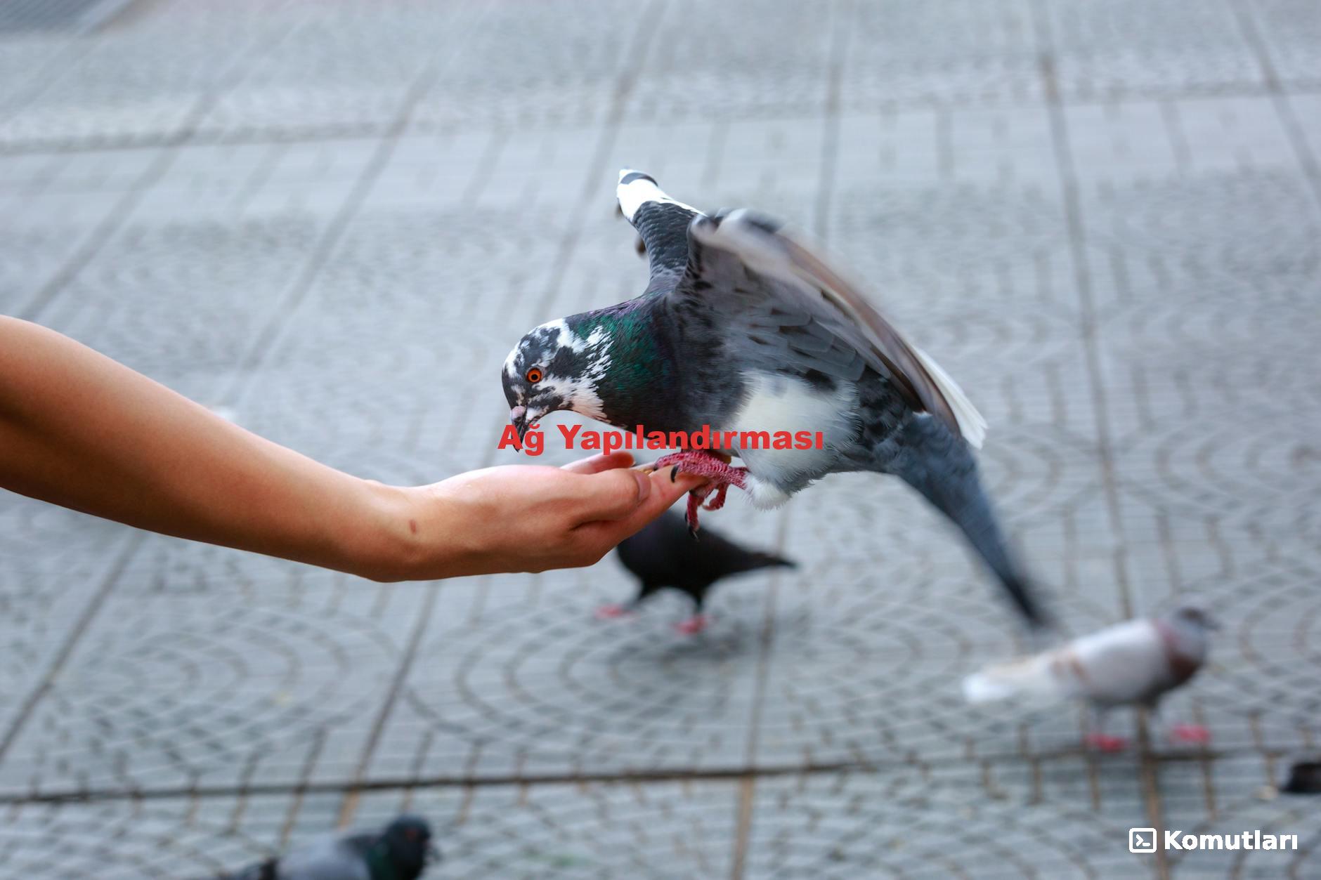 Ağ Yapılandırması