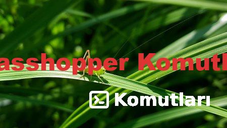 Grasshopper Komutları