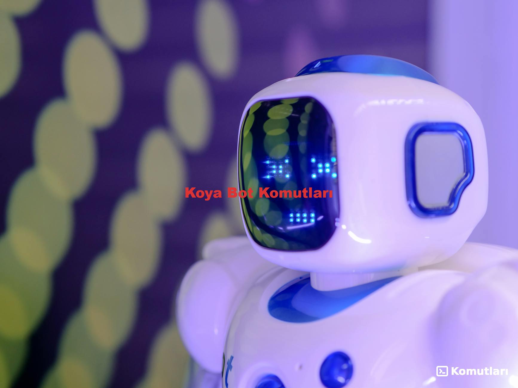 Koya Bot Komutları