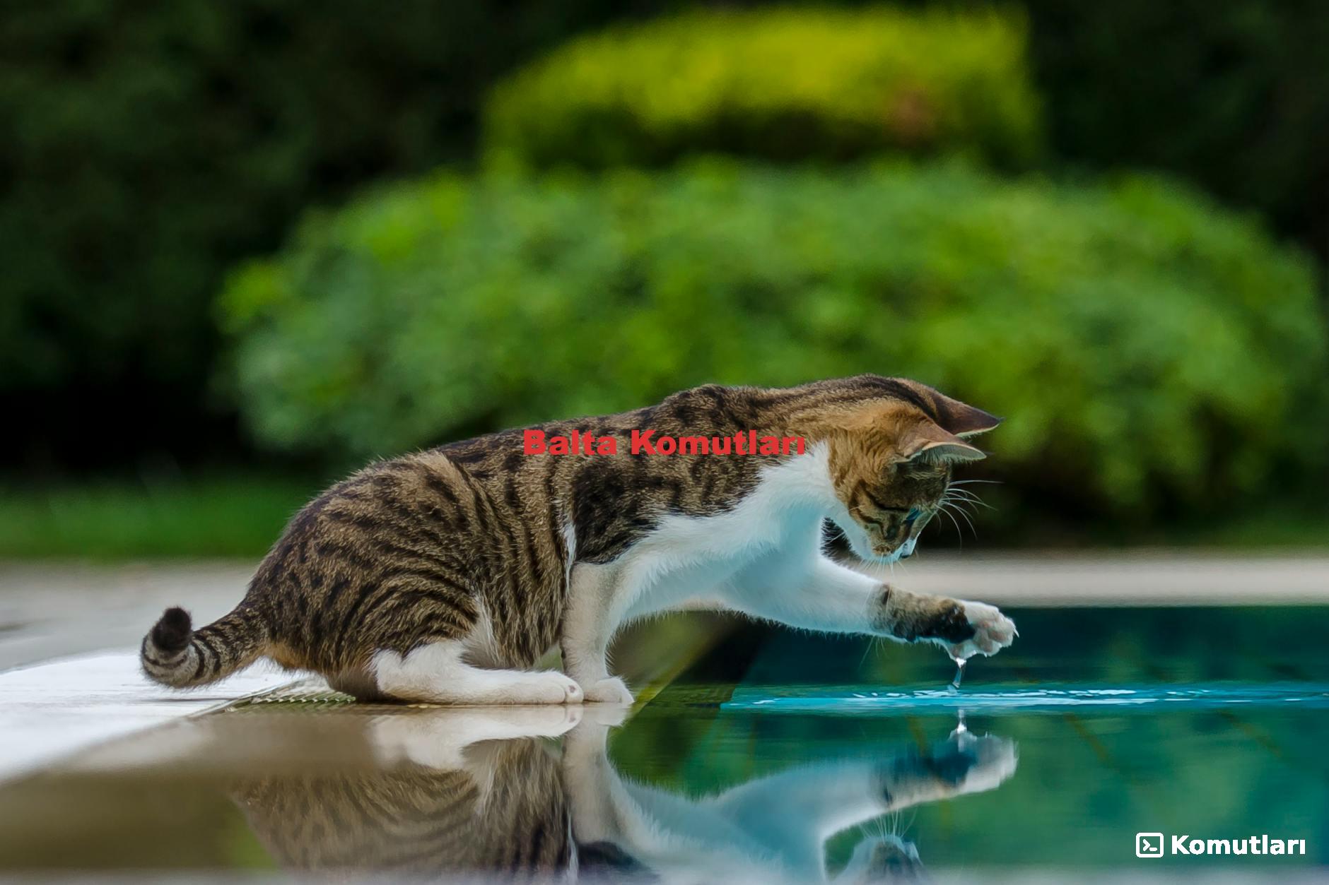 Balta Komutları