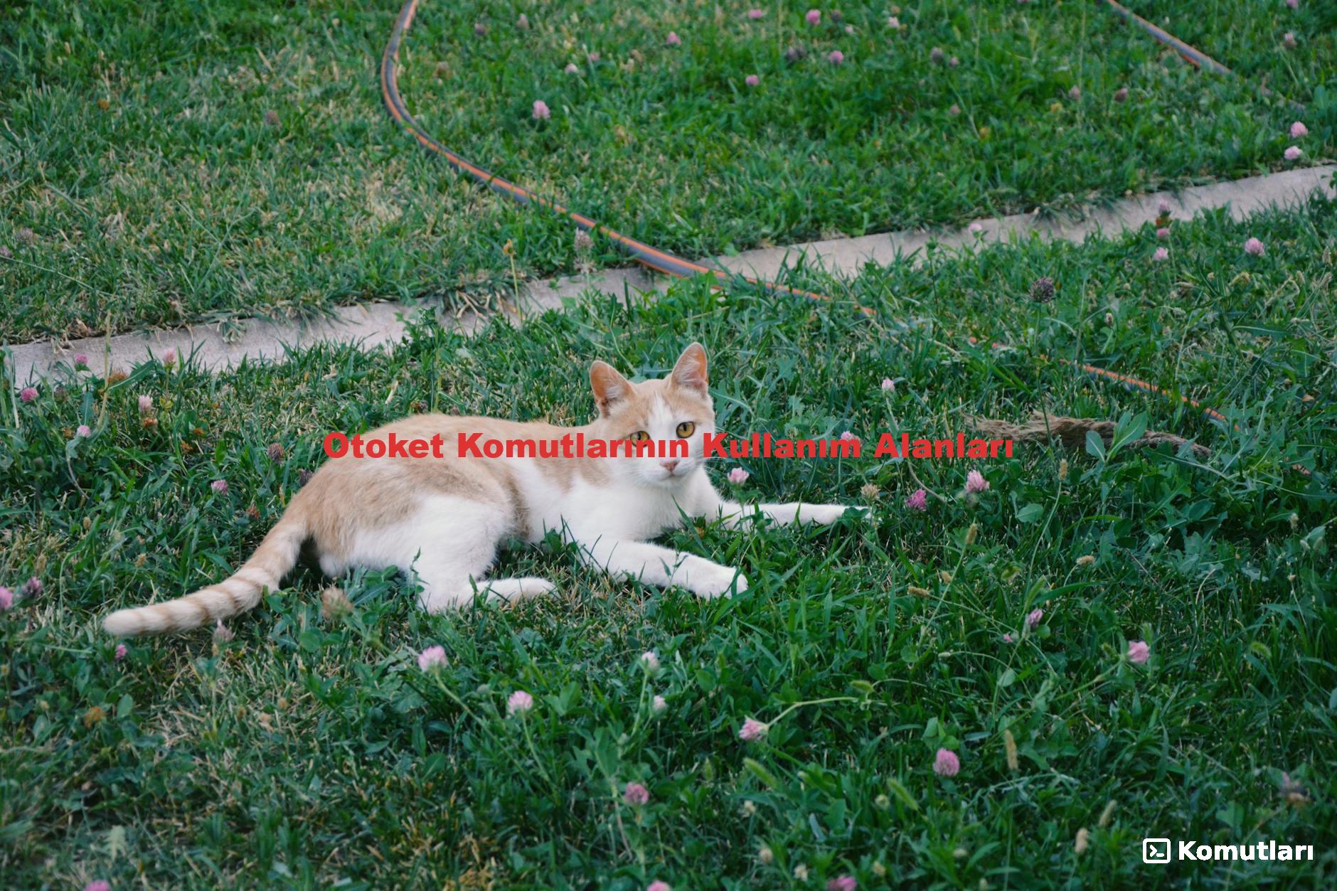 Otoket Komutlarının Kullanım Alanları