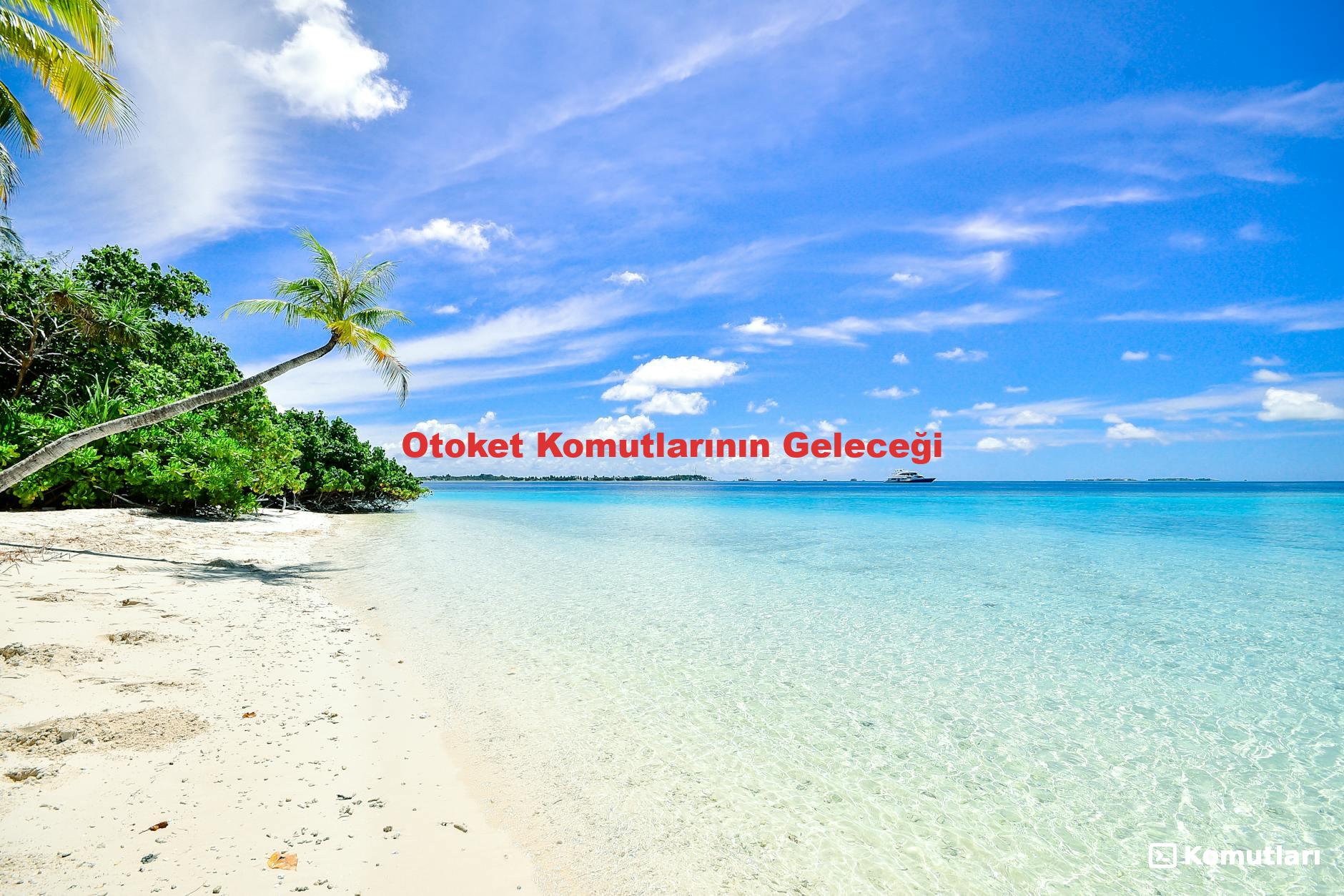 Otoket Komutlarının Geleceği