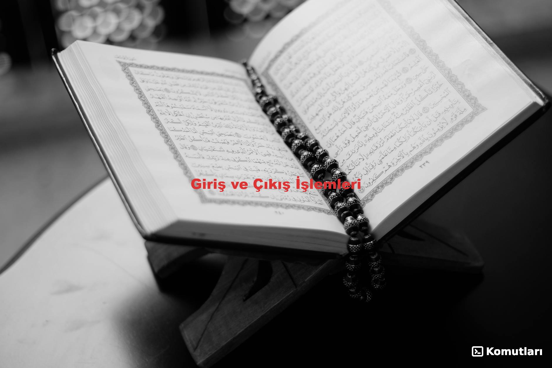 Giriş ve Çıkış İşlemleri