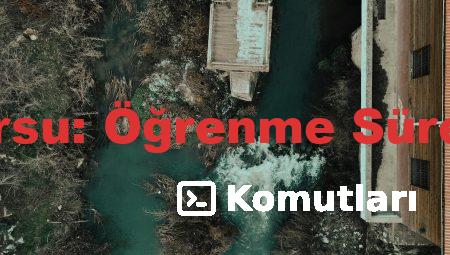 Maltepe’de Dil Kursu: Öğrenme Sürecinizi Hızlandırın!