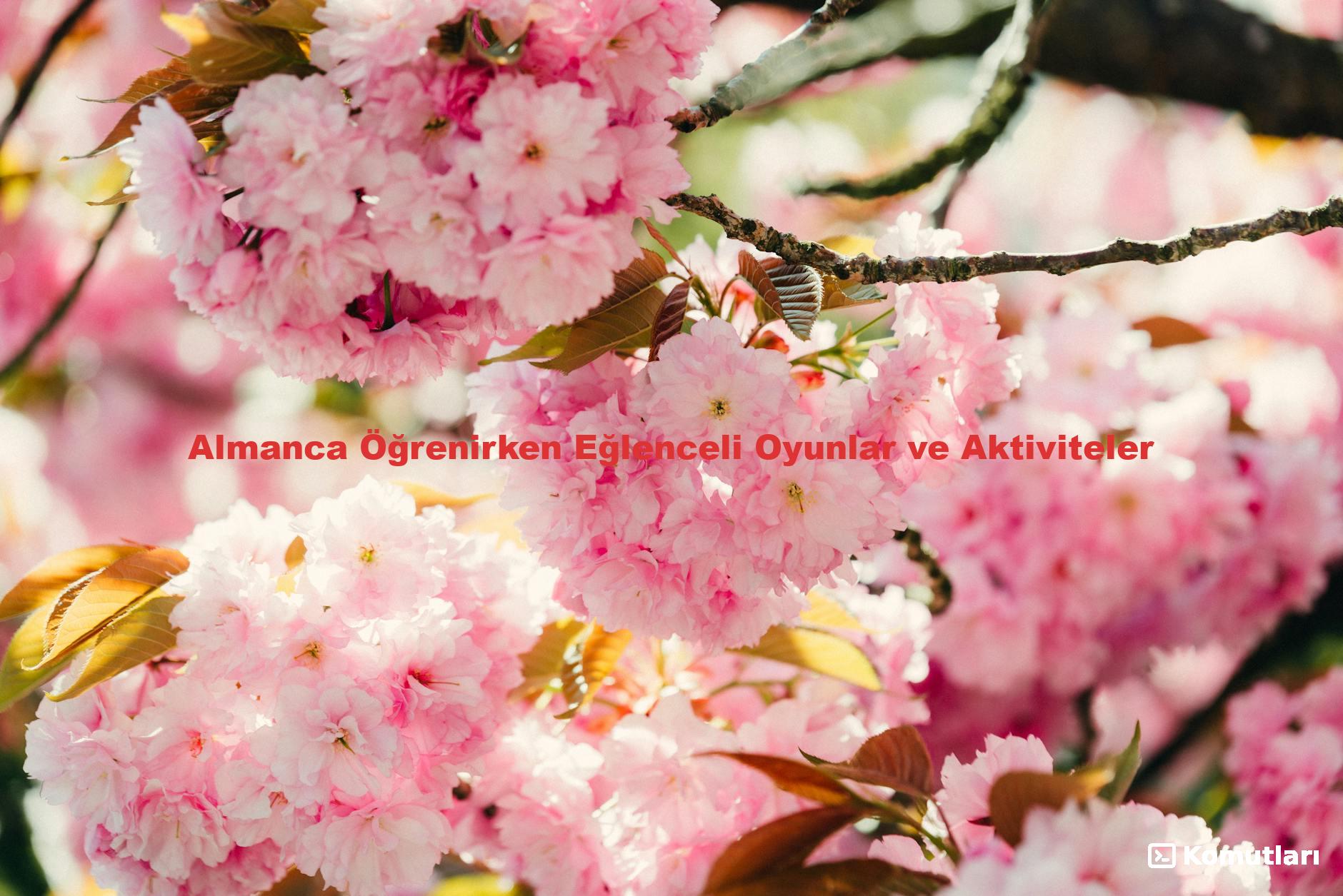 Almanca Öğrenirken Eğlenceli Oyunlar ve Aktiviteler