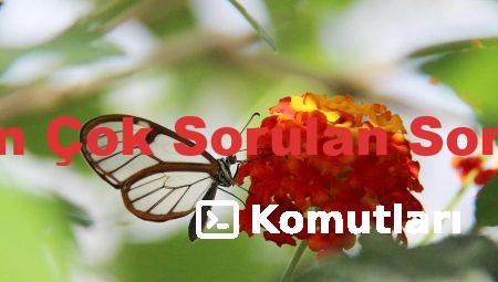 Oto Servisinde En Çok Sorulan Sorular ve Cevapları