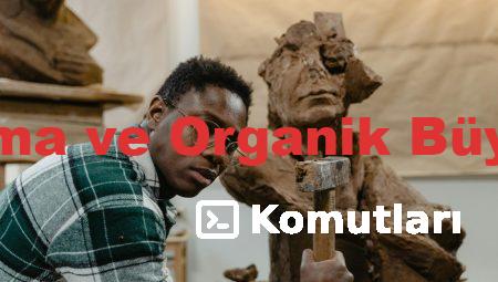 Takipçi Satın Alma ve Organik Büyümenin Dengesi