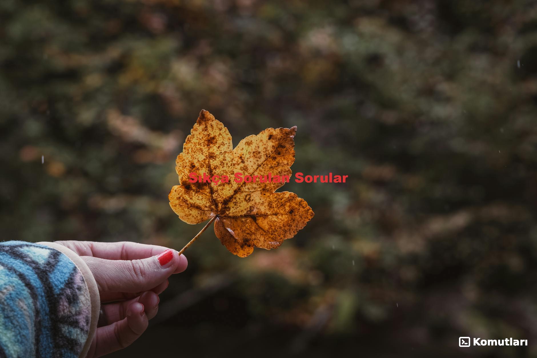 Sıkça Sorulan Sorular